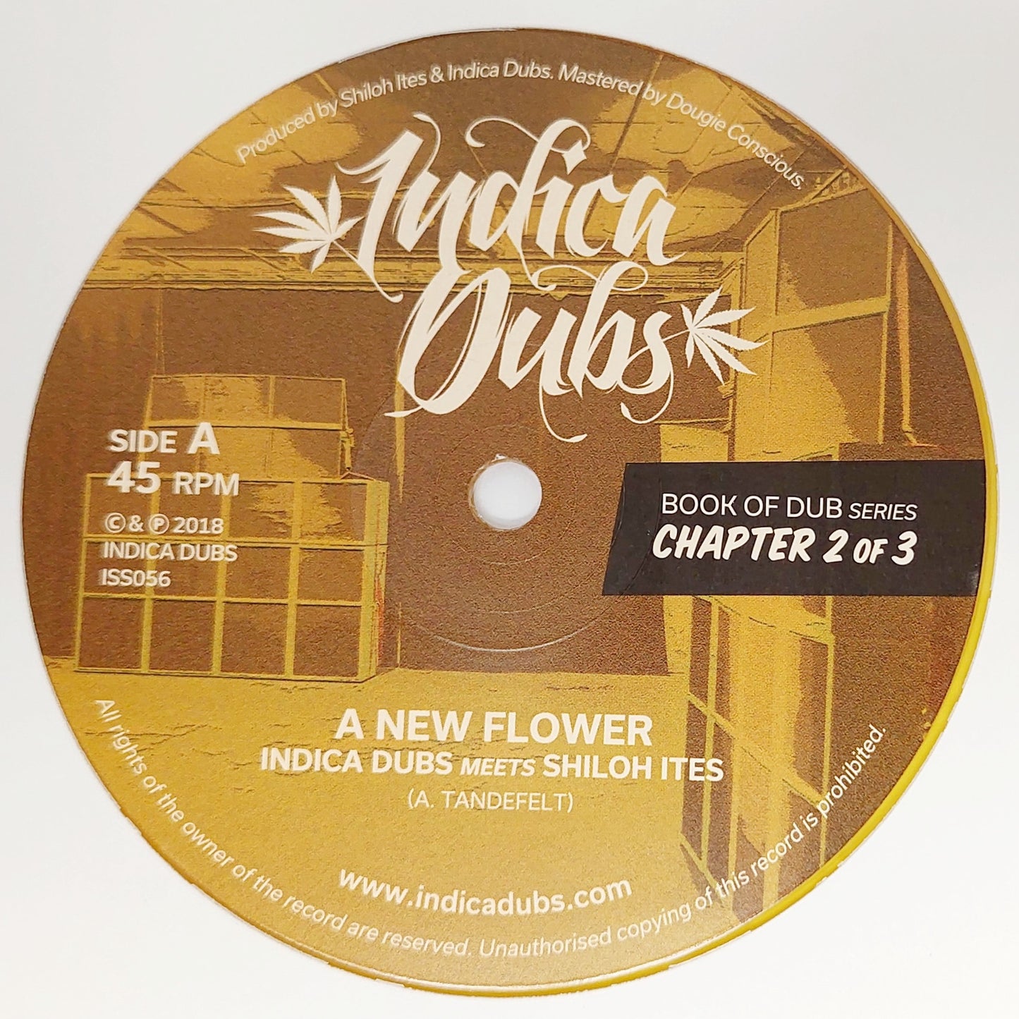 Indica Dubs Meets Shiloh Ites - Book Of Dub Series Chapter 2