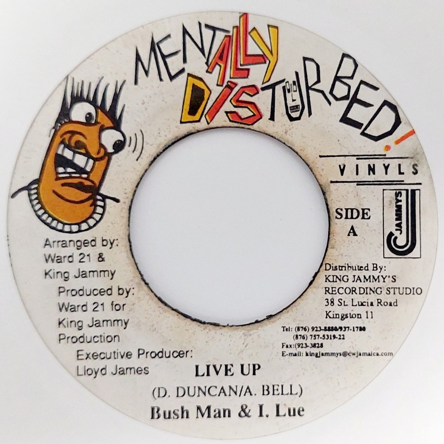 Bush Man & I-Lue - Live Up