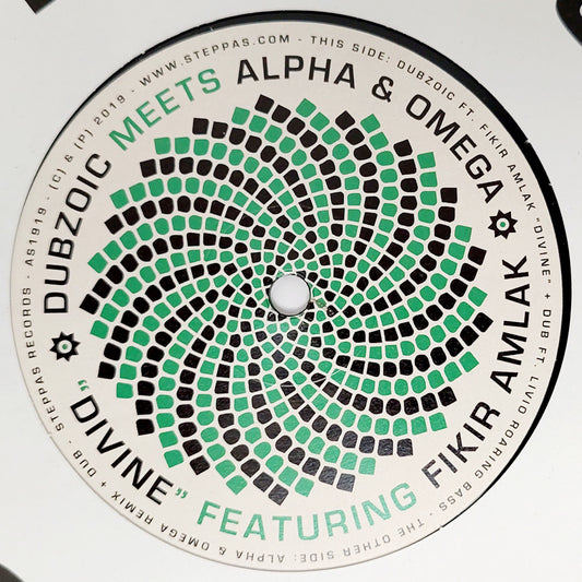 Dubzoic feat. Fikir Amlak - Divine