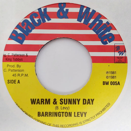 Barrington Levy - Warm And Sunny Day