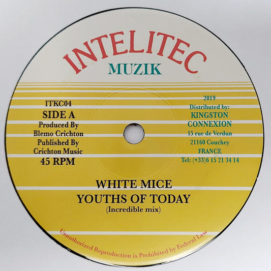 White Mice - Youths Of Today