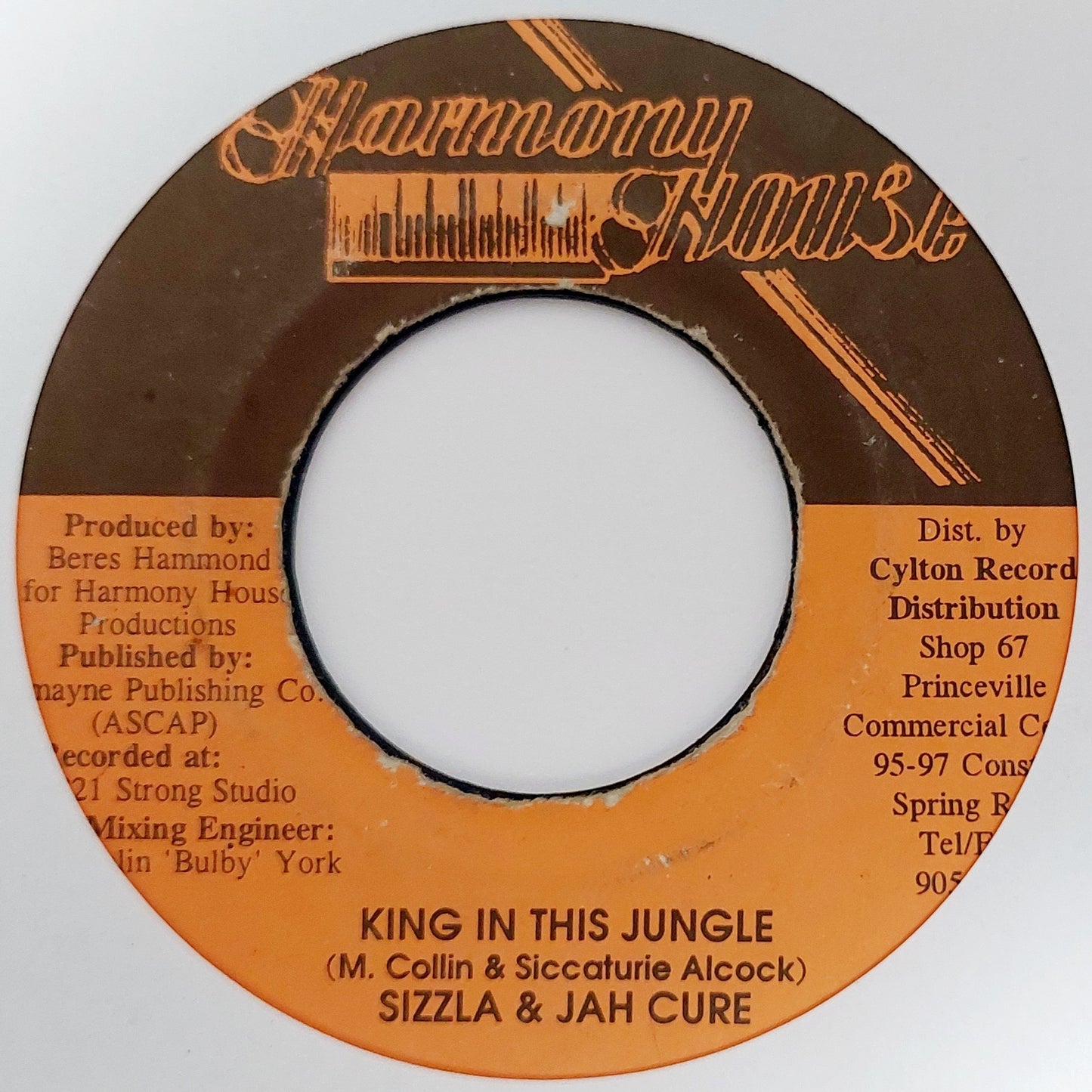 Sizzla & Jah Cure - King In This Jungle