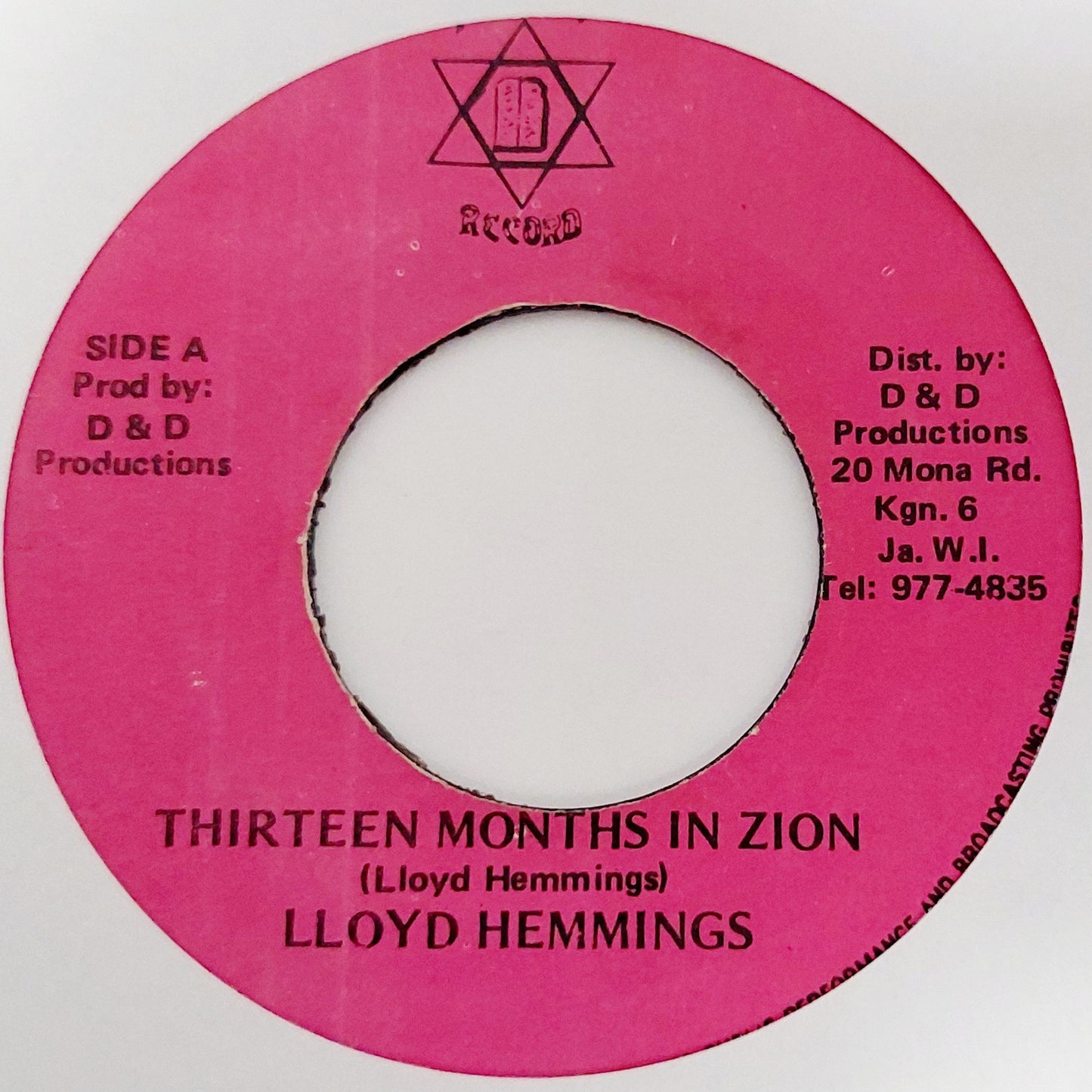 Lloyd Hemmings - Thirteen Months in Zion