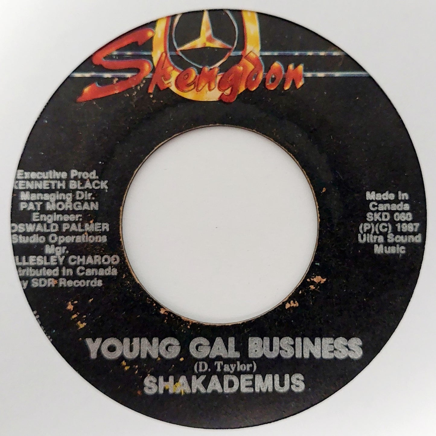 Shakademus - Young Gal Business