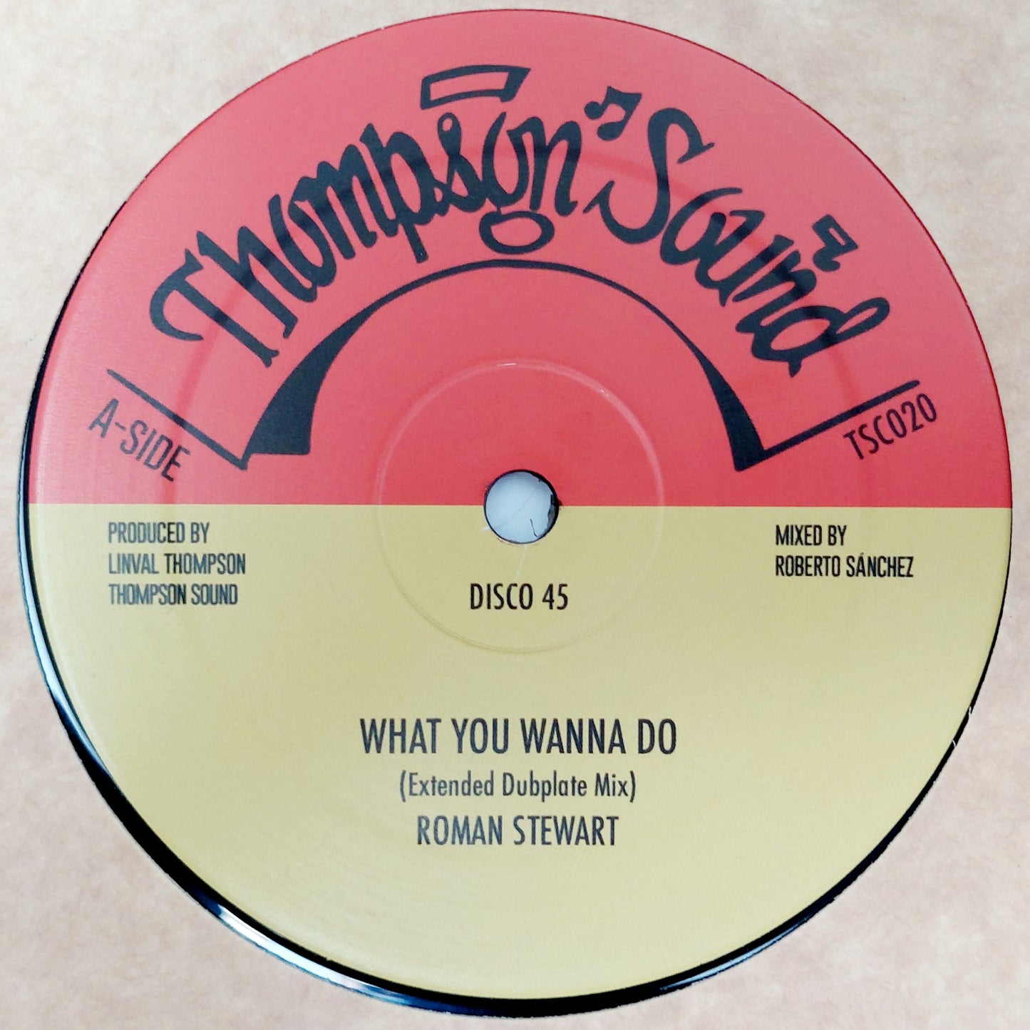 Roman Stewart / Nazamba / Thompson Sound - What You Wanna Do / Africa / Africa Dub