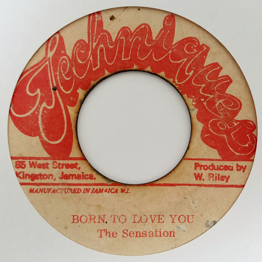 The Sensation - Born To Love You