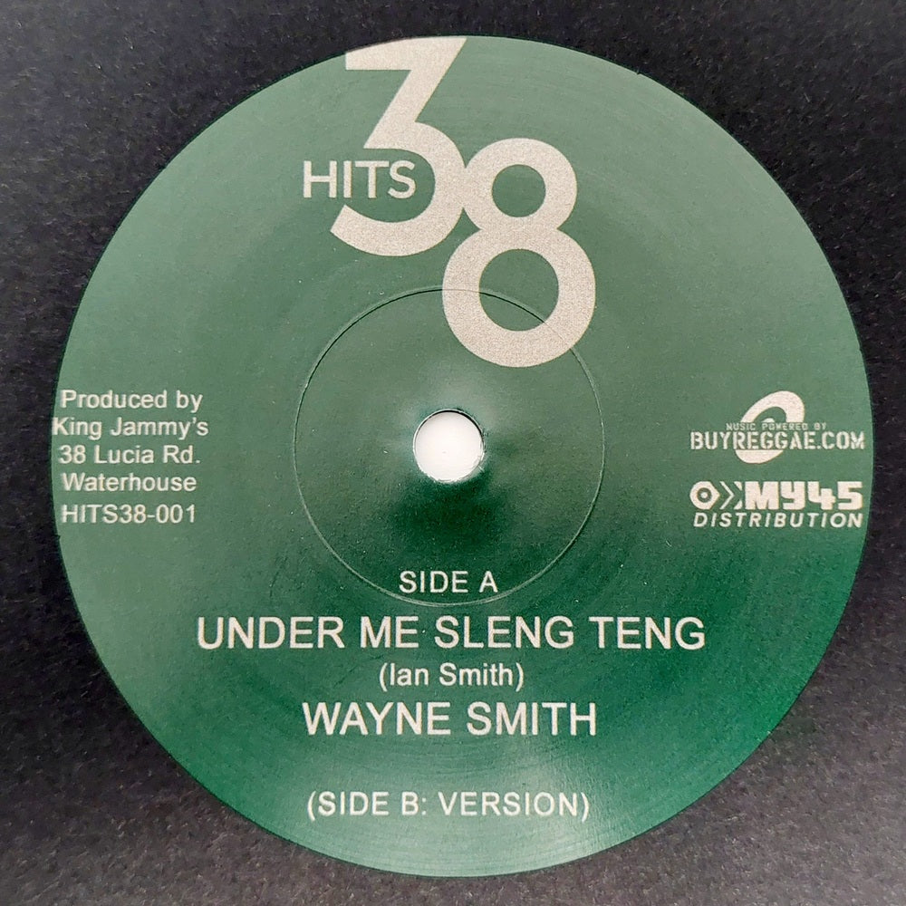 Wayne Smith - Under Me Sleng Teng