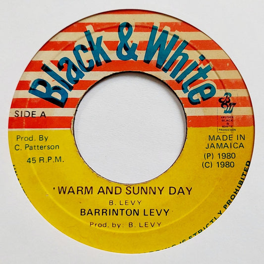 Barrington Levy - Warm And Sunny Day