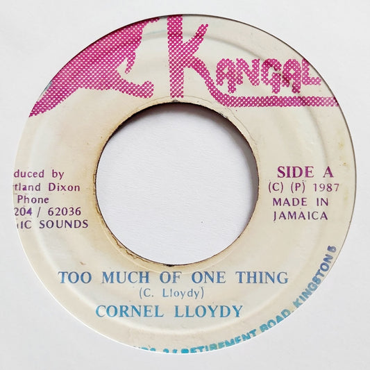 Cornel Lloydy - Too Much Of One Thing