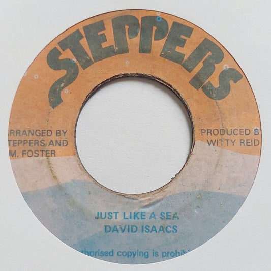 David Isaacs - Just Like A Sea