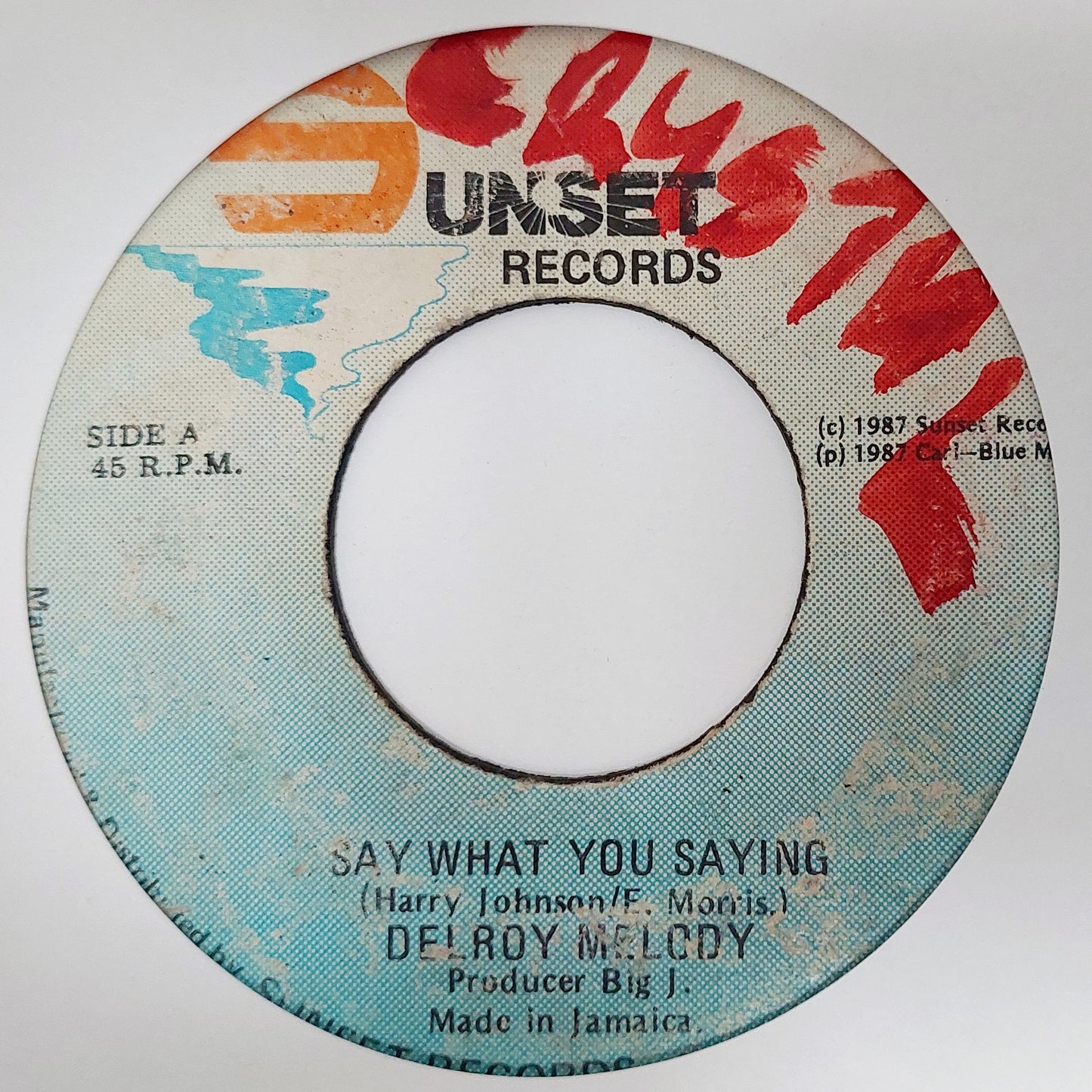 Delroy Melody - Say What You Are Saying