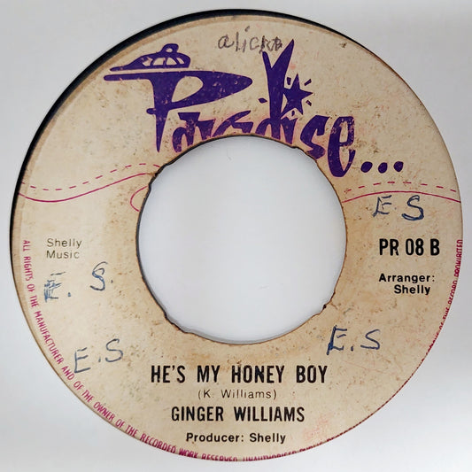 Ginger Williams - In My Heart There's A Place / He's My Honey Boy