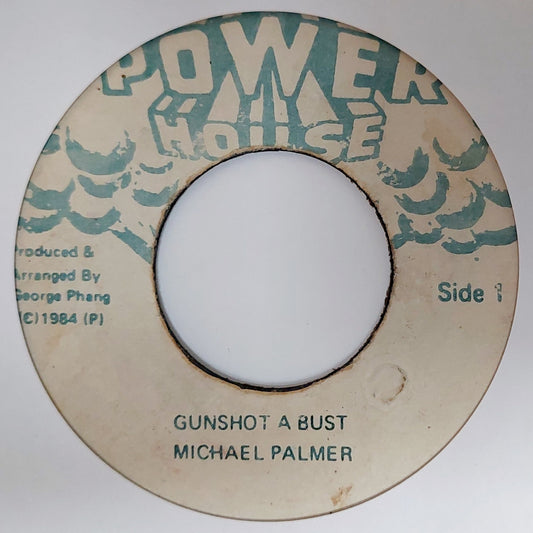 Michael Palmer - Gunshot A Bust